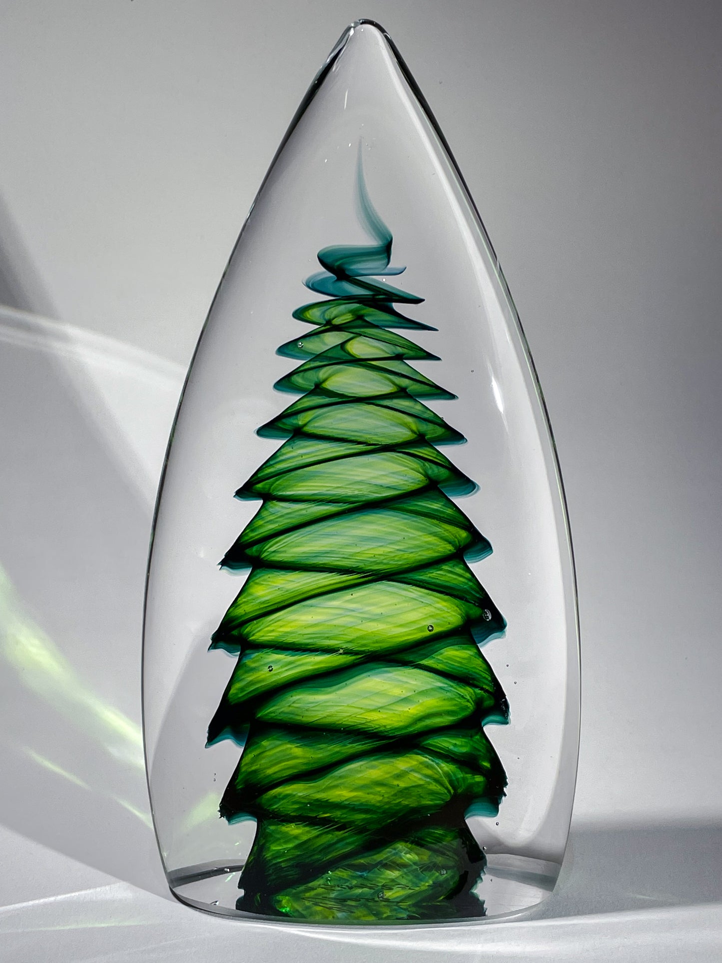 Purcell Evergreen - #250423-4