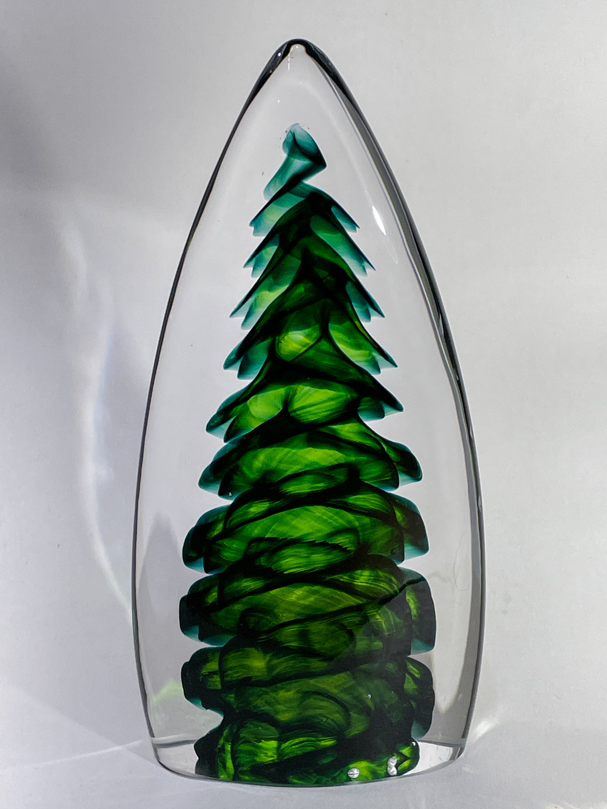 Purcell Evergreen - #261015-1
