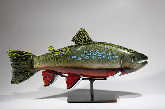 Brook Trout - #250210-2