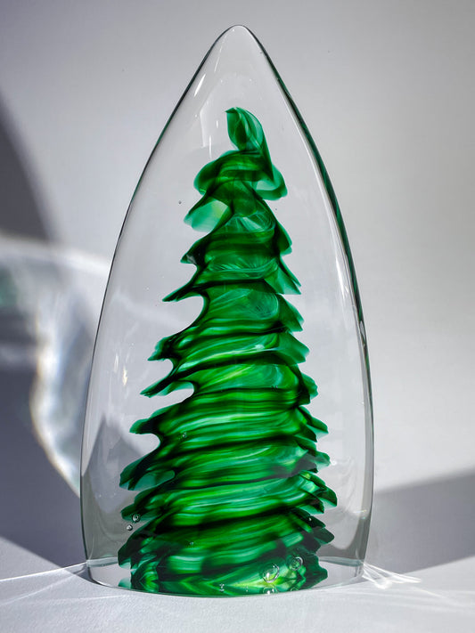 Purcell Evergreen - #260325-1