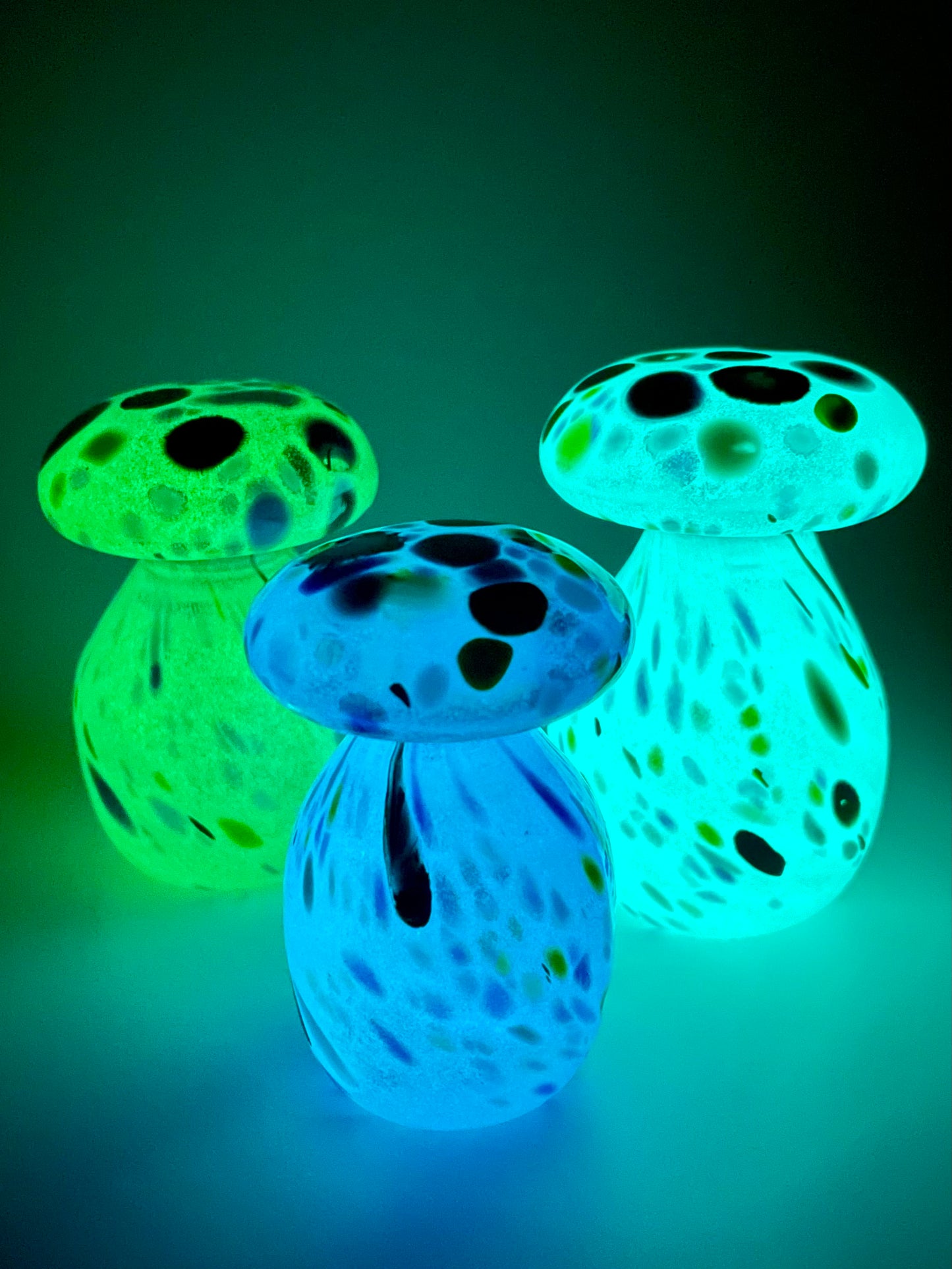 Glow in the Dark Mushroom