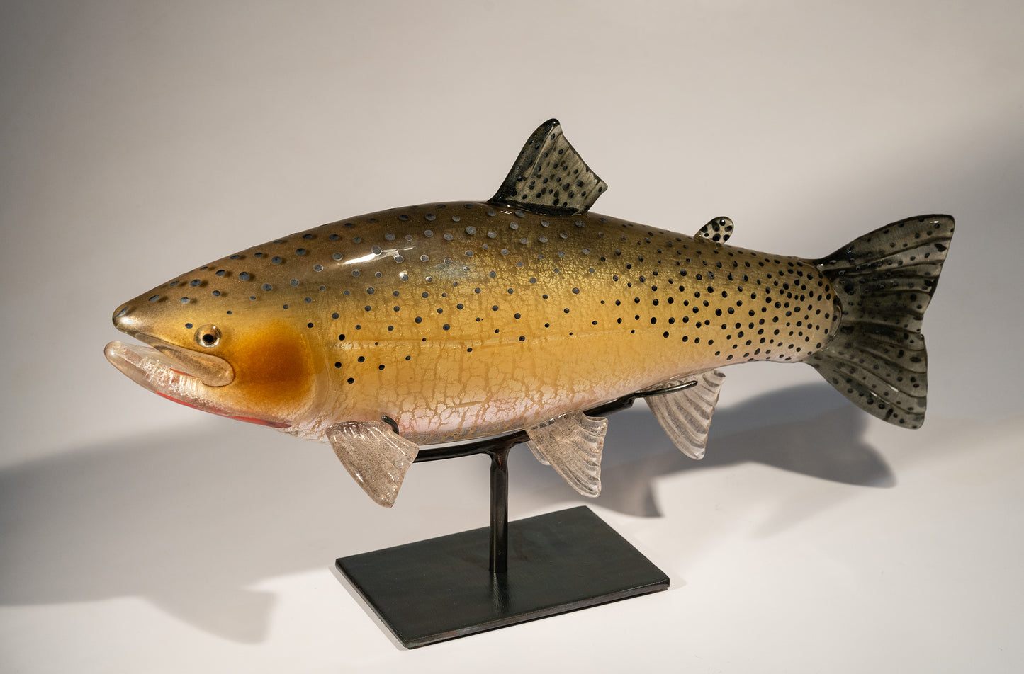 Cutthroat Trout - #251219-1