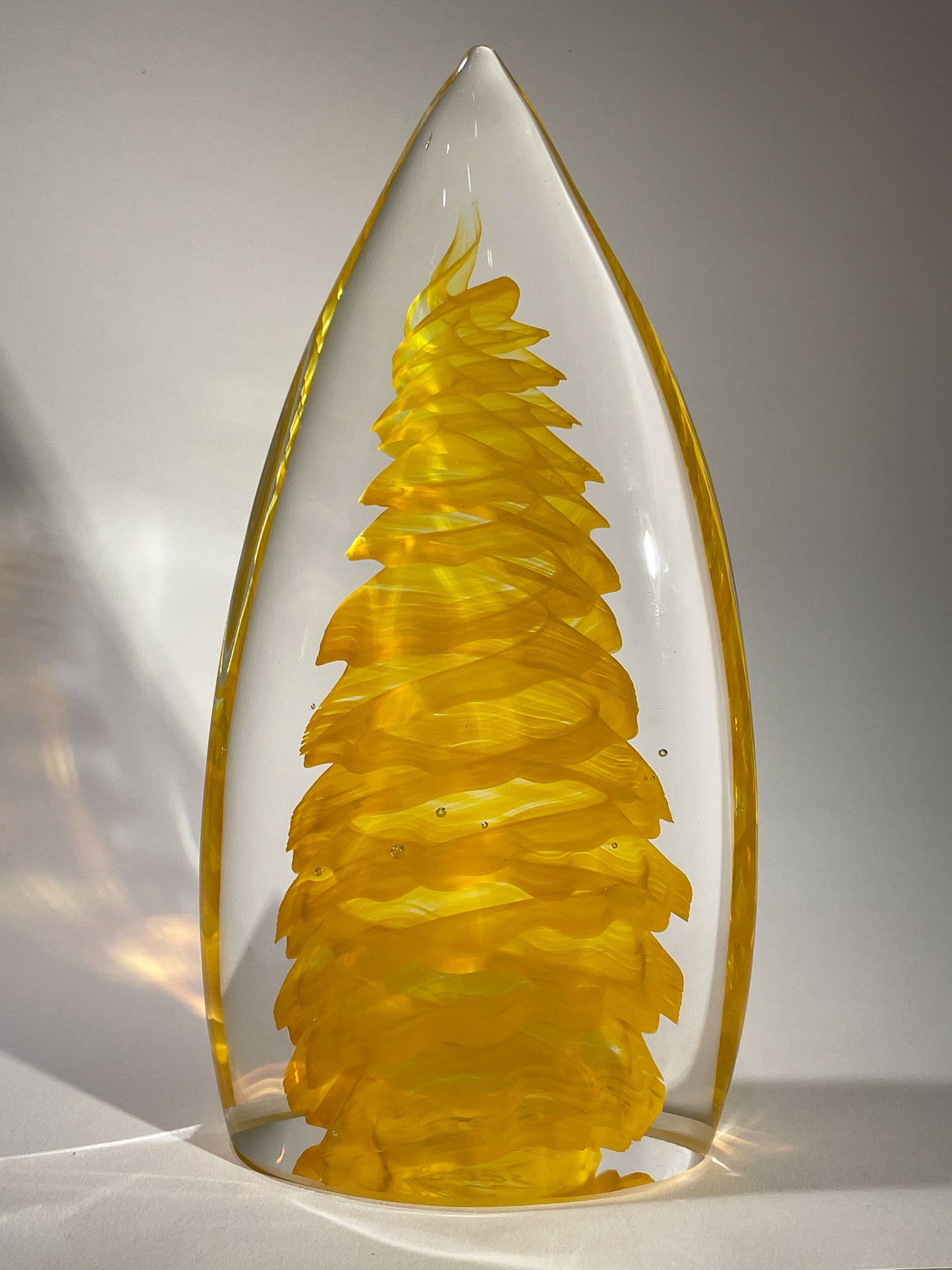 Purcell Larch Tree - #250416–5
