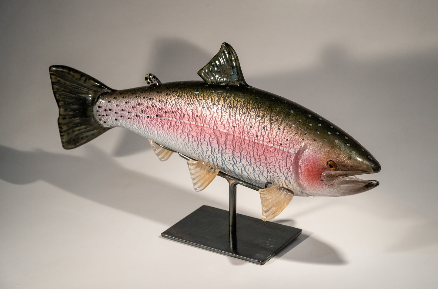 Rainbow Trout - #251220-4