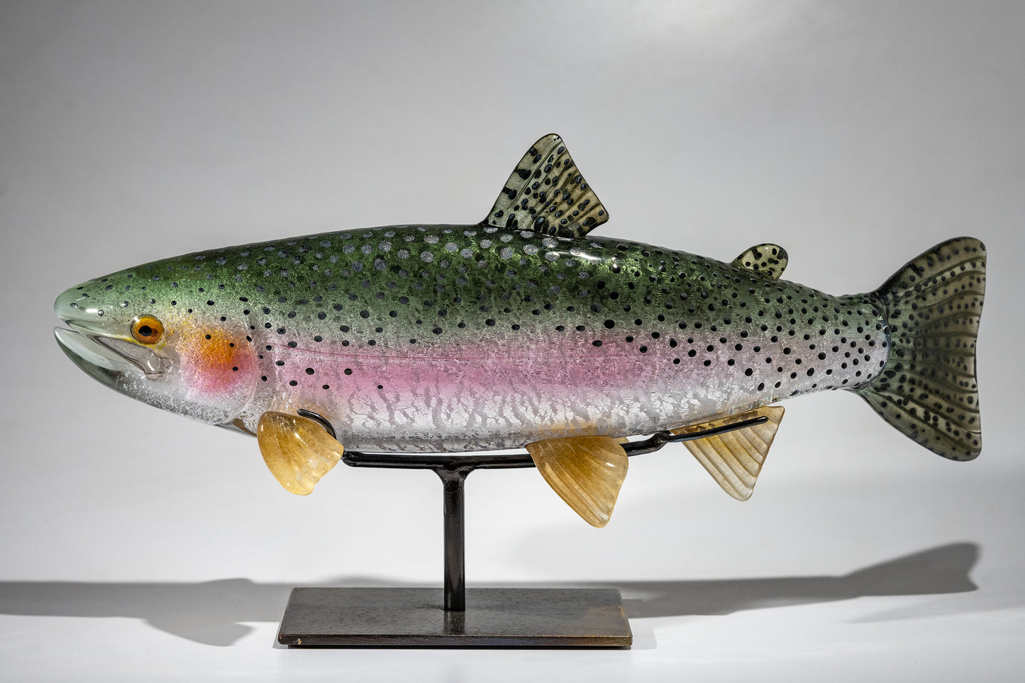 Rainbow Trout - #240710-3