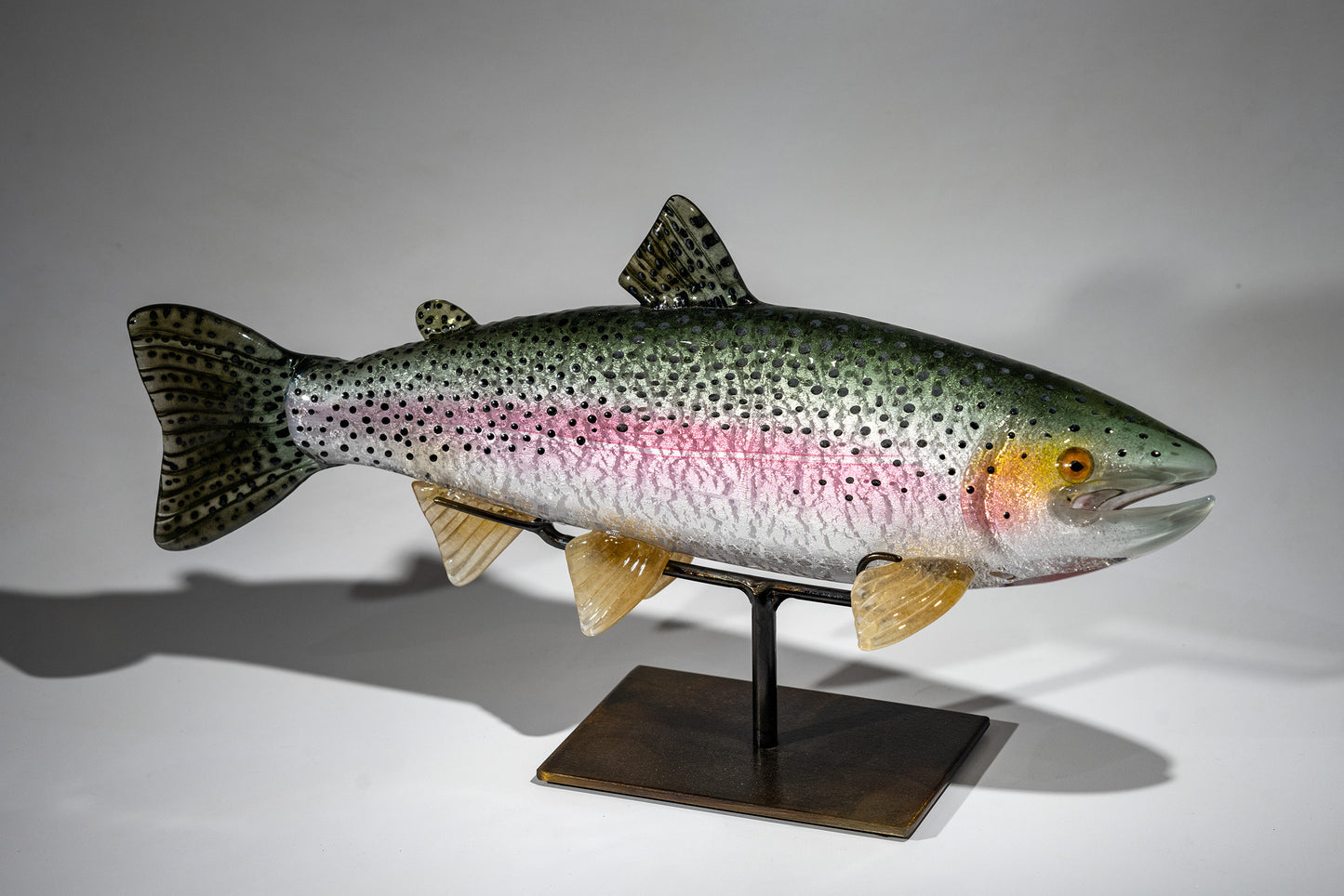 Rainbow Trout - #240710-3