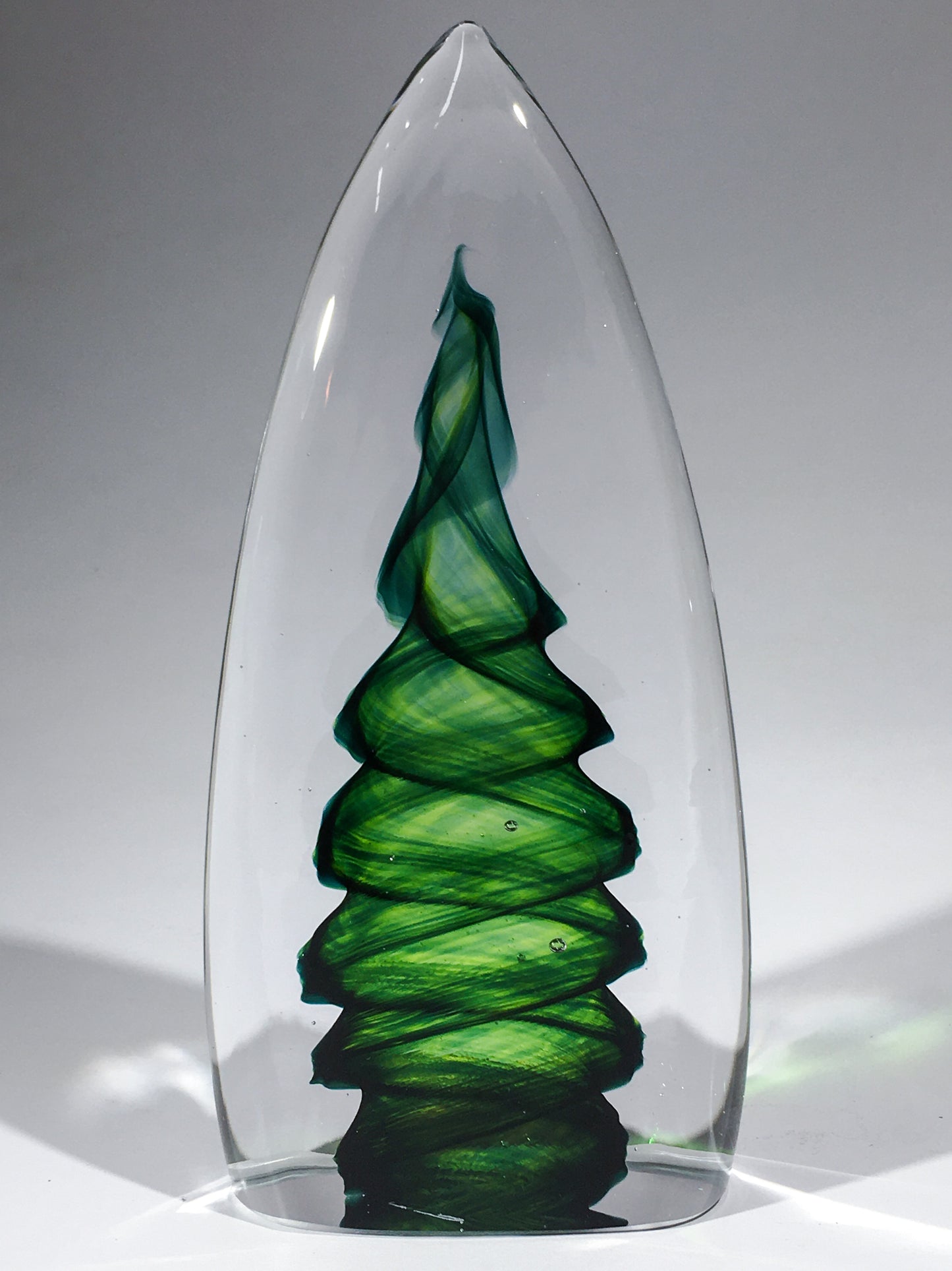 Purcell Evergreen - #241117-3