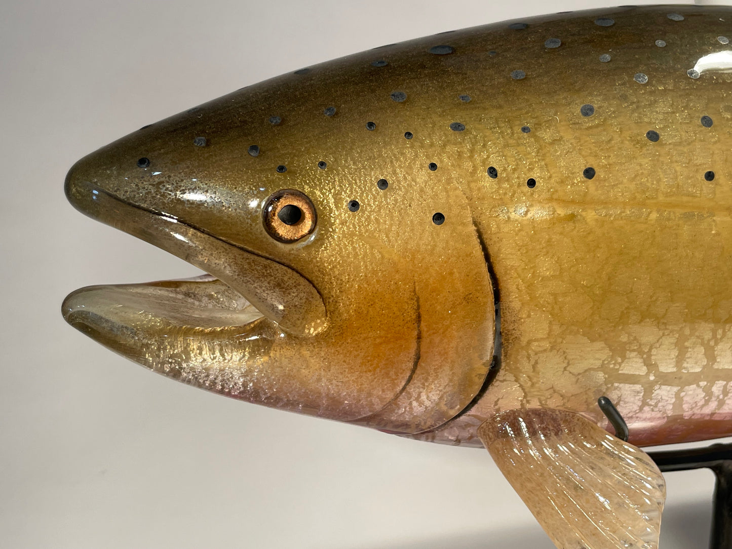 Cutthroat Trout - #260508-2