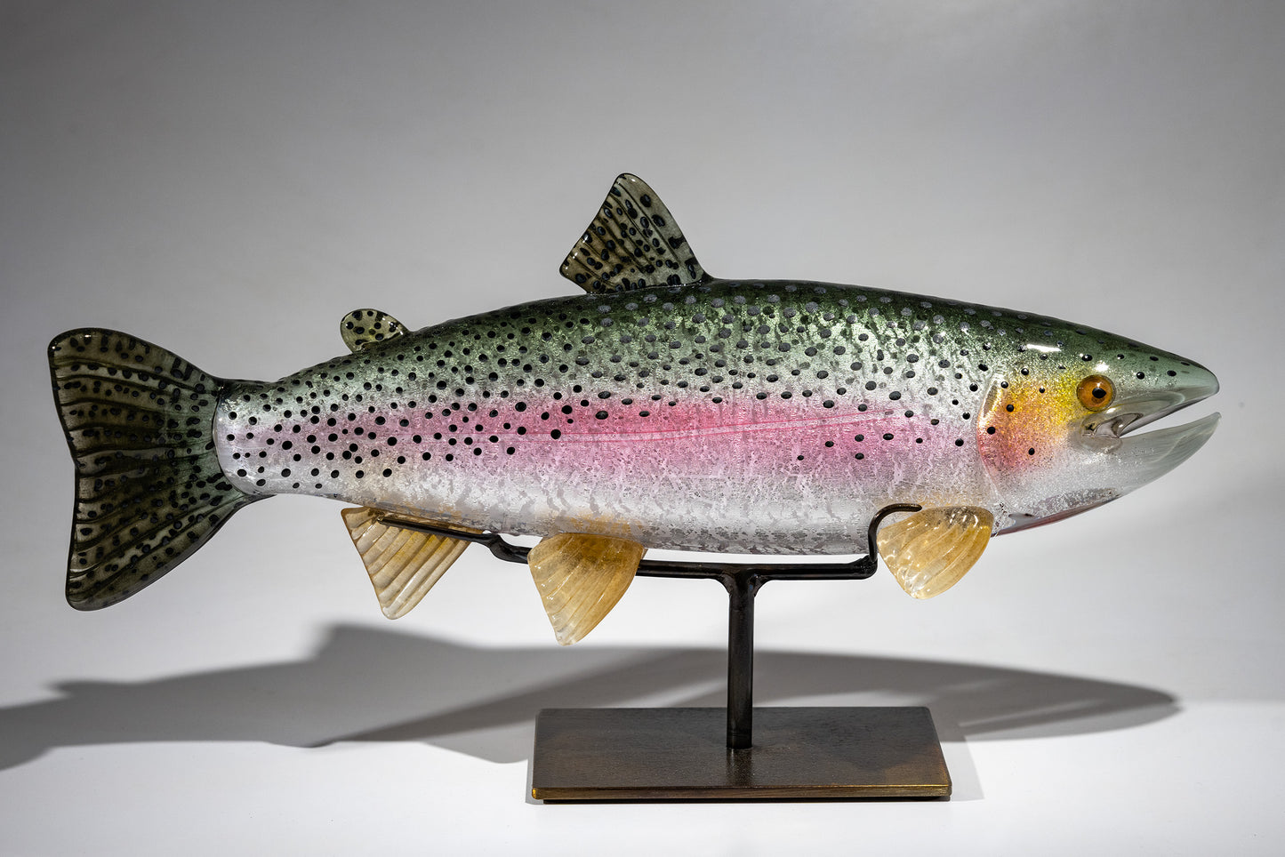 Rainbow Trout - #240710-3