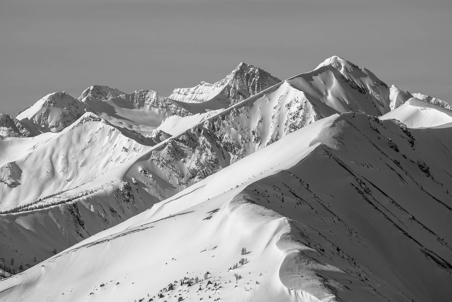 Coppercrown and Brewer 18x14.5 inch Archival Paper Print-Framed