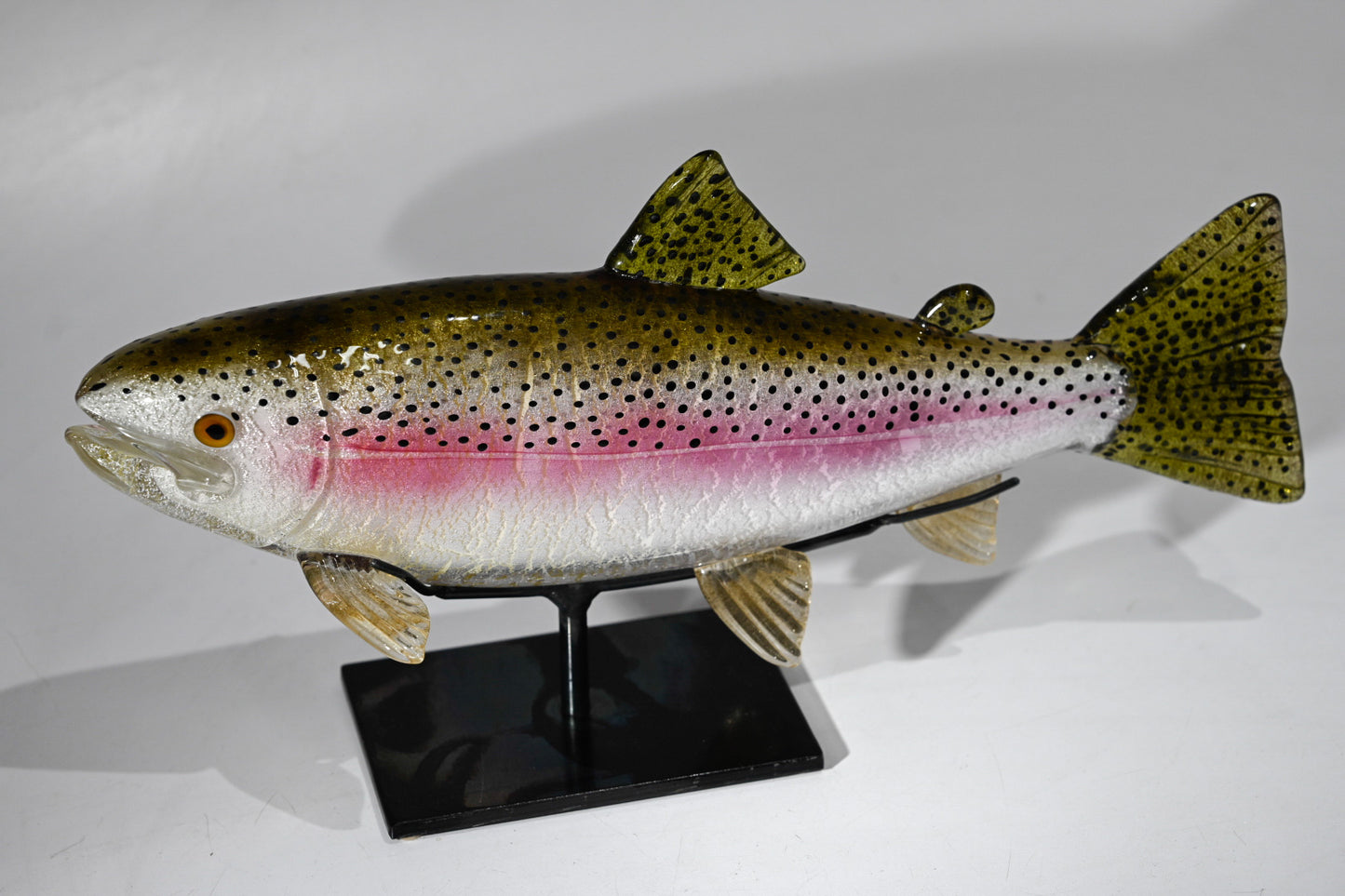 Rainbow Trout - #221220-1