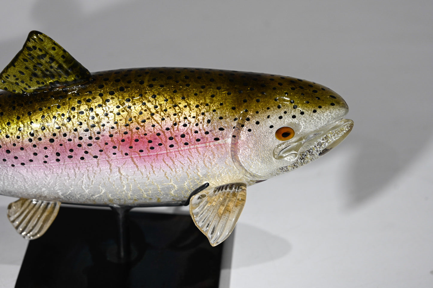 Rainbow Trout - #221220-1