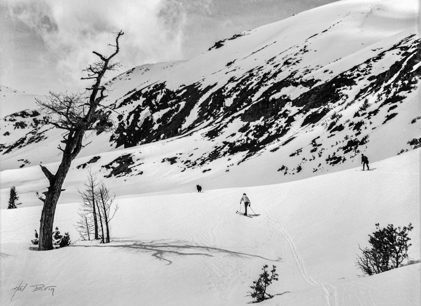 Paradise Skiers - Hal Bavin