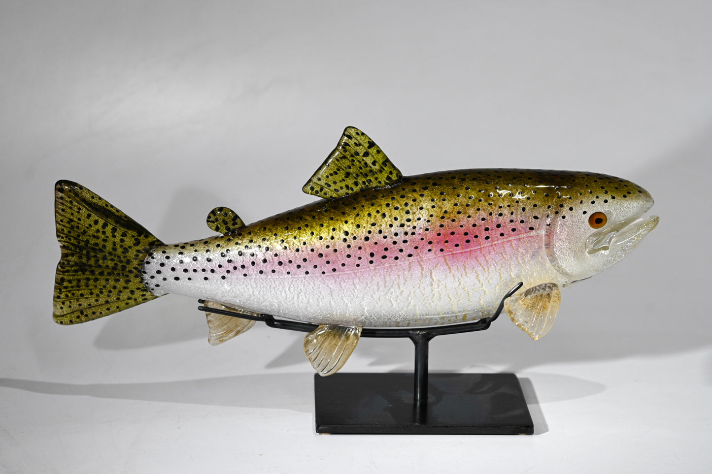 Rainbow Trout - #221220-1
