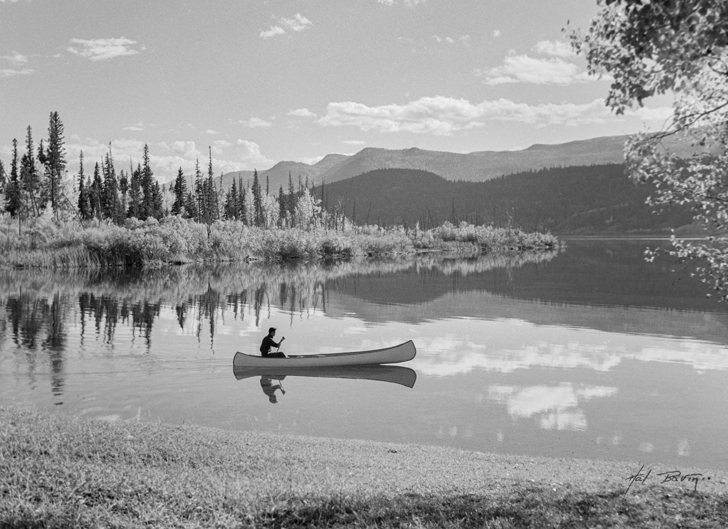 Bavin’s Bay - Hal Bavin