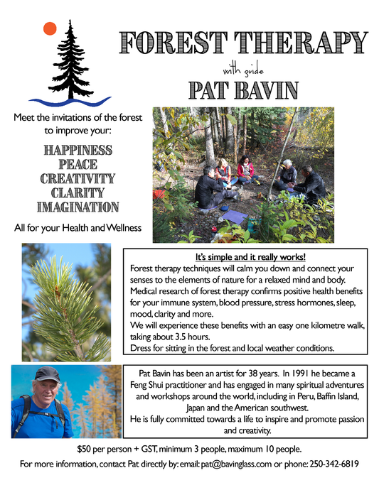Forest Therapy - with guide Pat Bavin