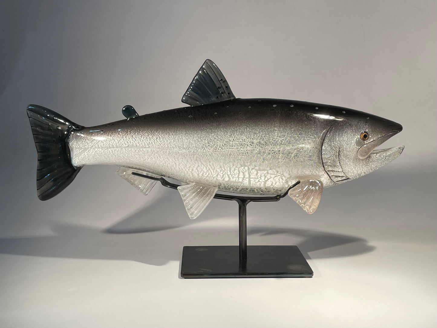 Coho Salmon - #260508-3