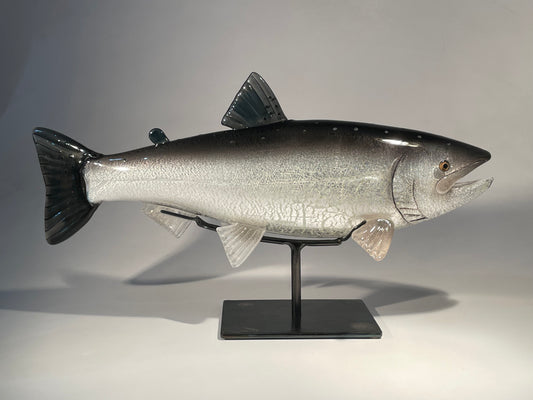 Coho Salmon - #260508-3