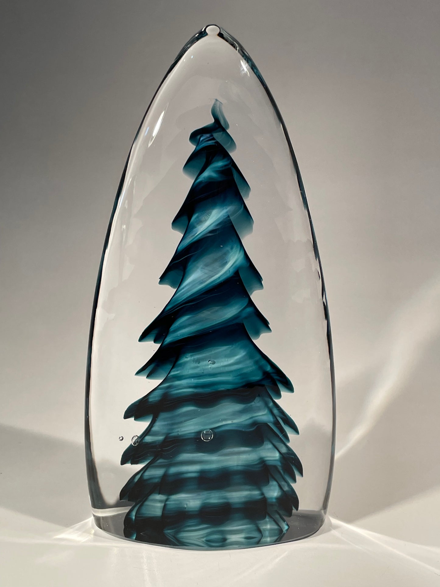 Purcell Evergreen - #260709-2