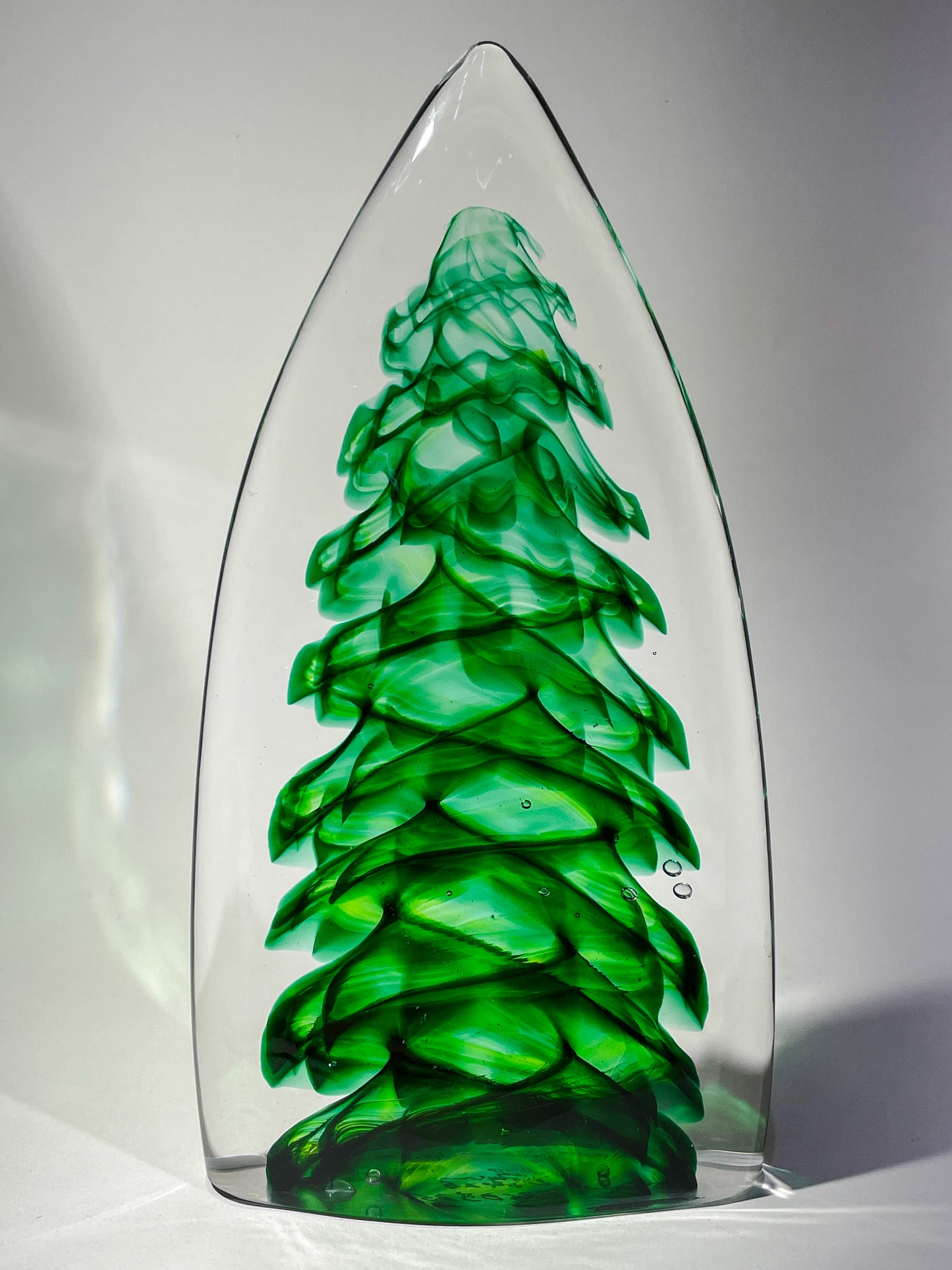 Purcell Evergreen - #260325-2