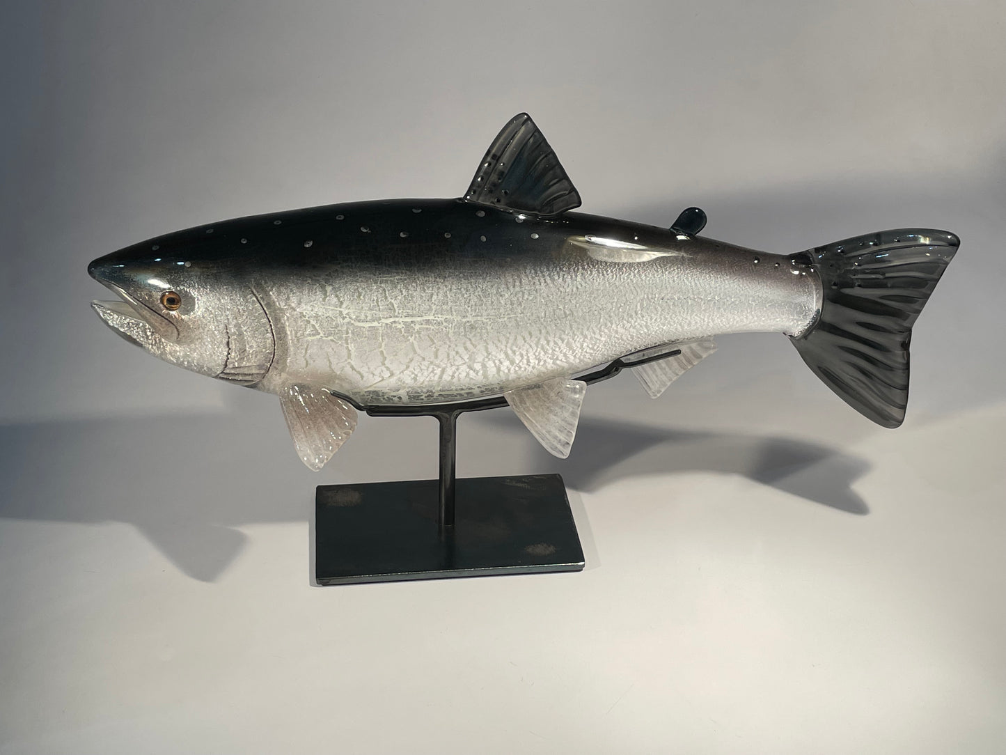 Coho Salmon - #260508-3