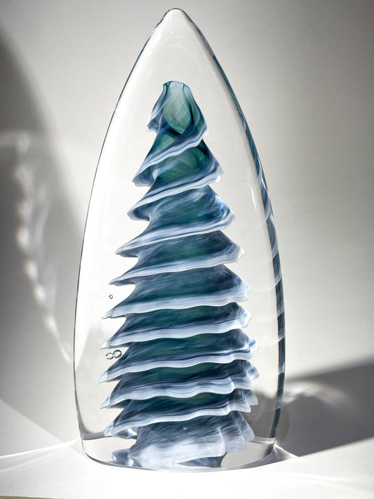 Purcell Evergreen - #260313-2