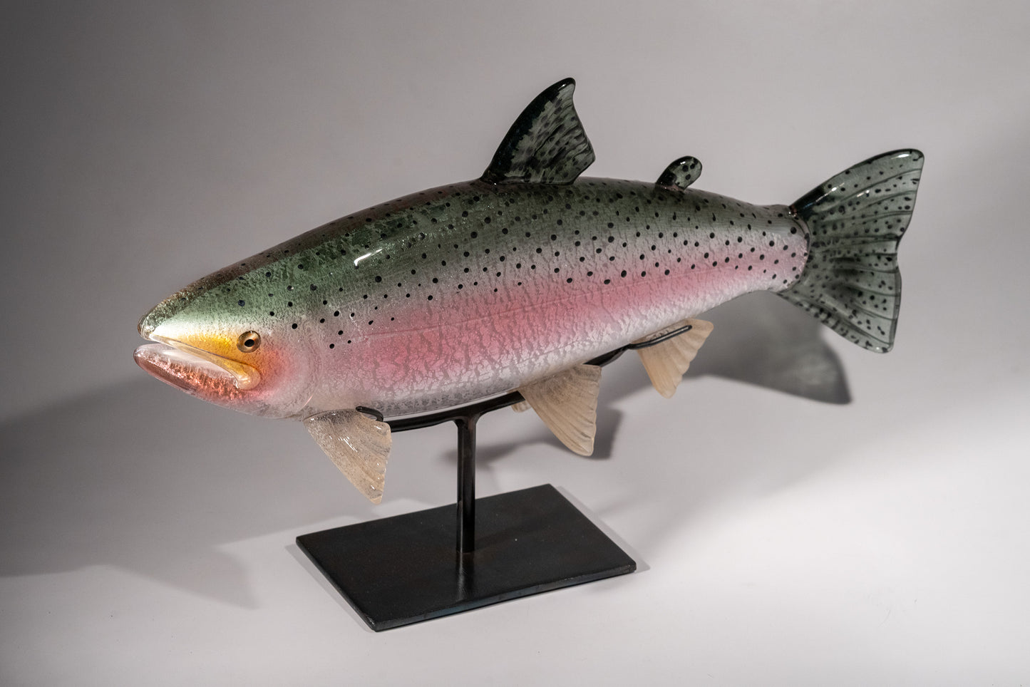 Rainbow Trout - #251112-4