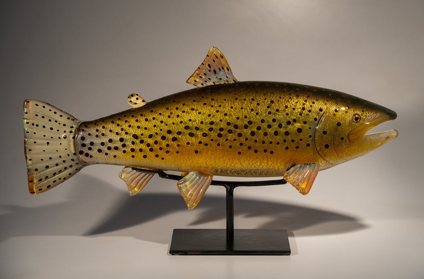 Brown Trout - #251219-2