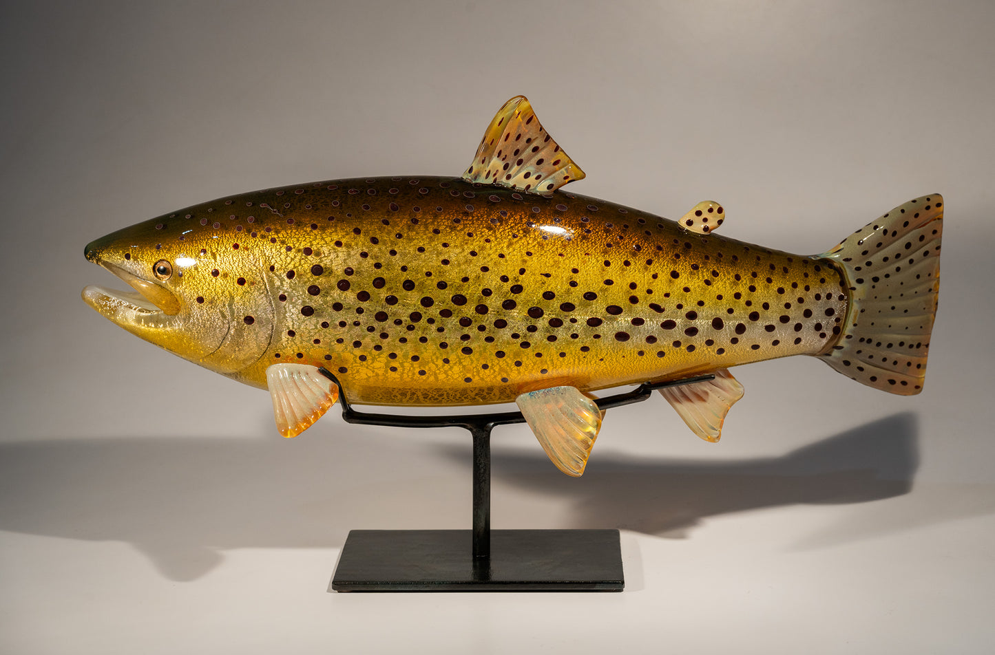 Brown Trout - #251219-2