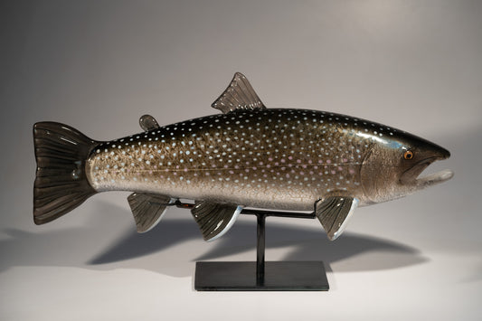 Bull Trout - #251220-1