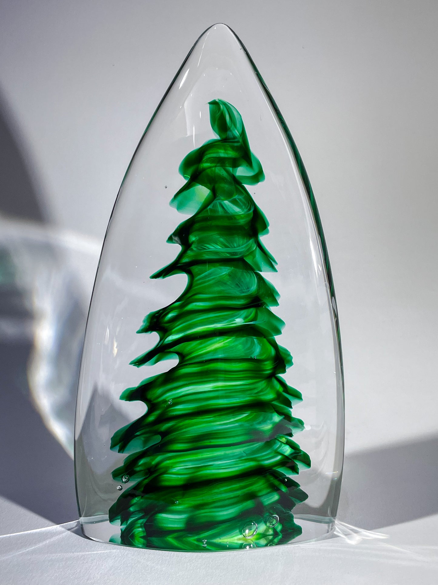 Purcell Evergreen - #260325-1