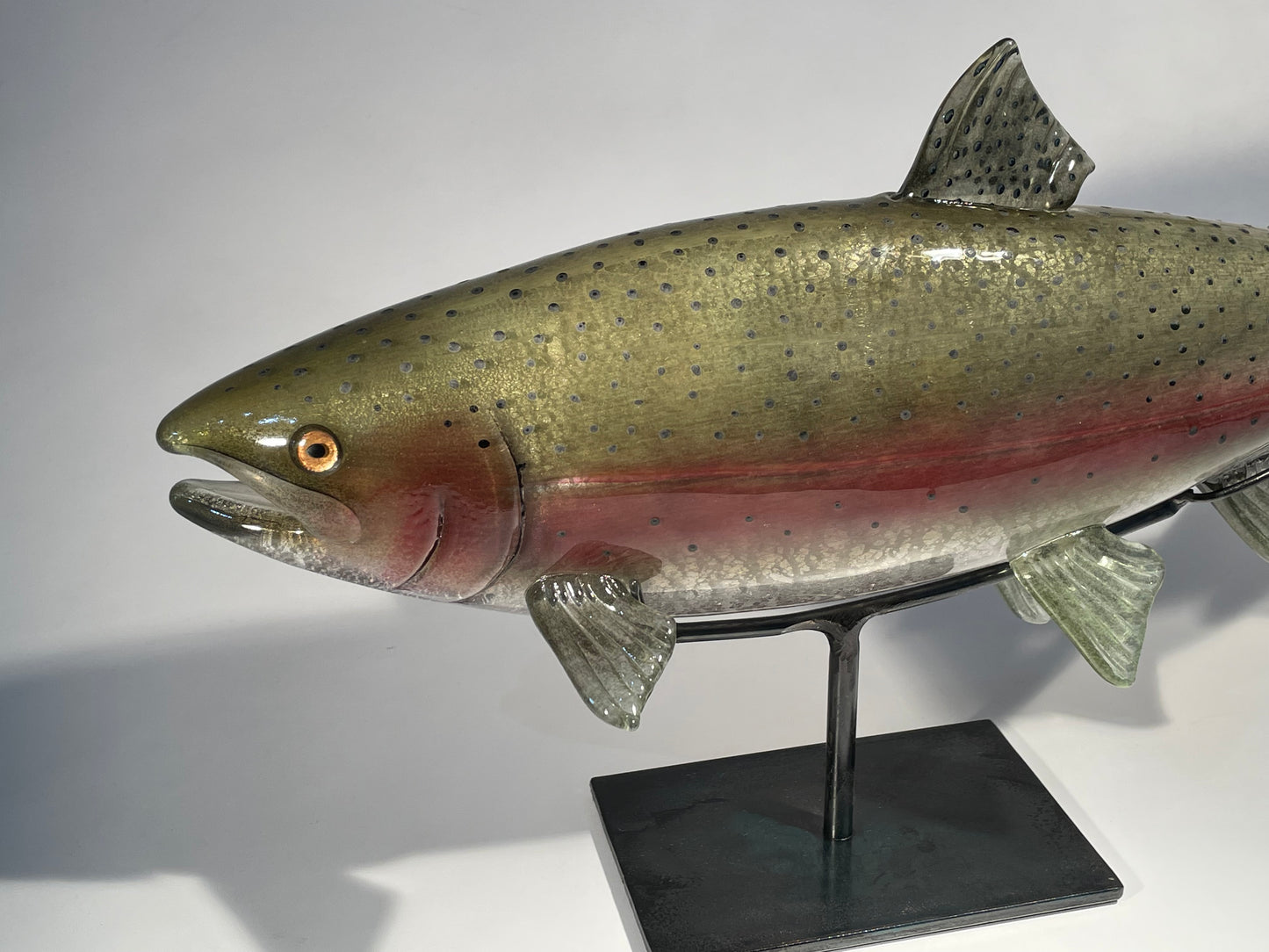 Redband Trout - #260508-1