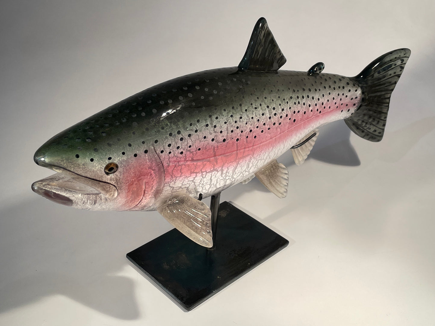 Rainbow Trout - #260508-4