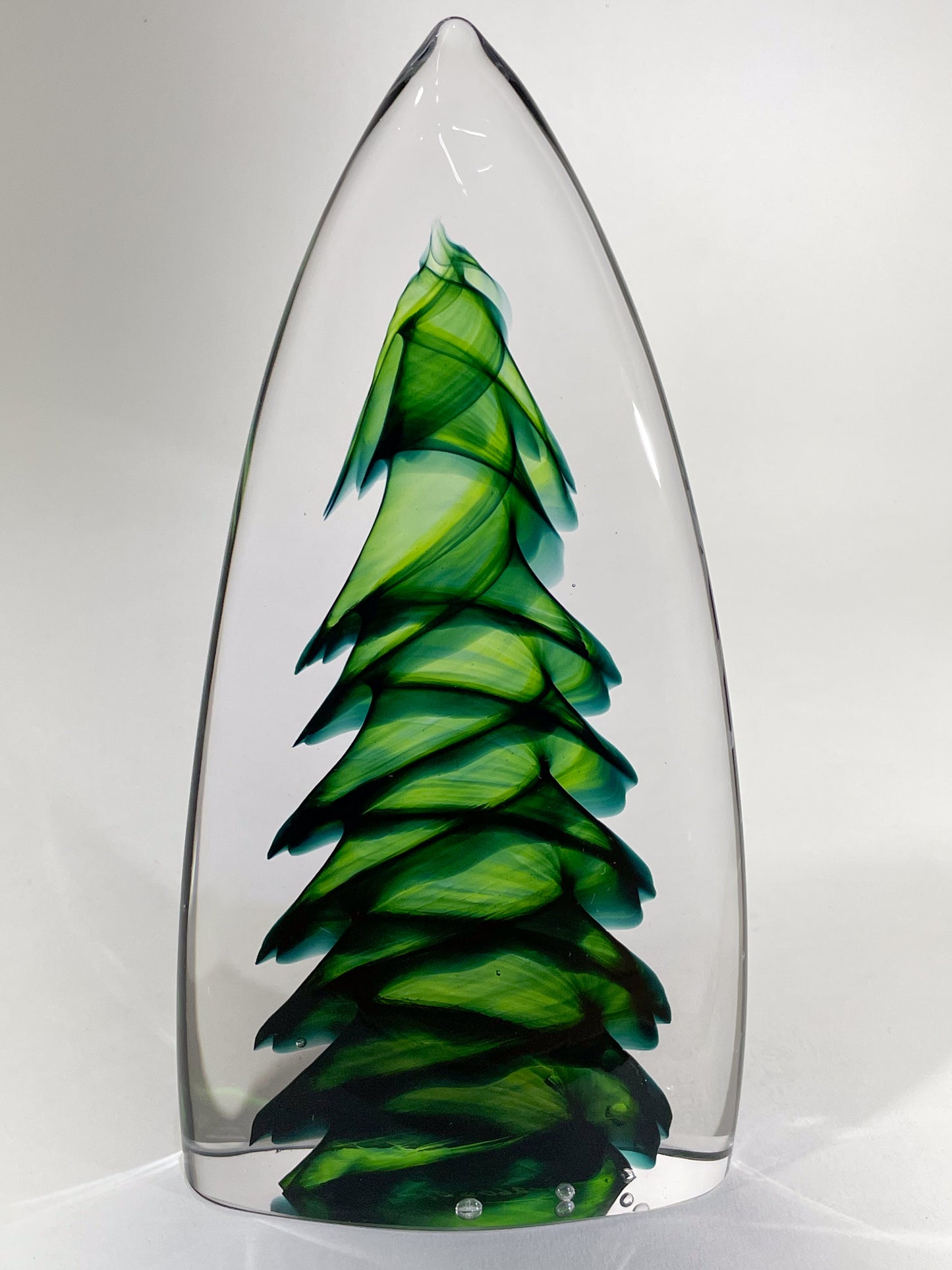 Purcell Evergreen - #260507-2