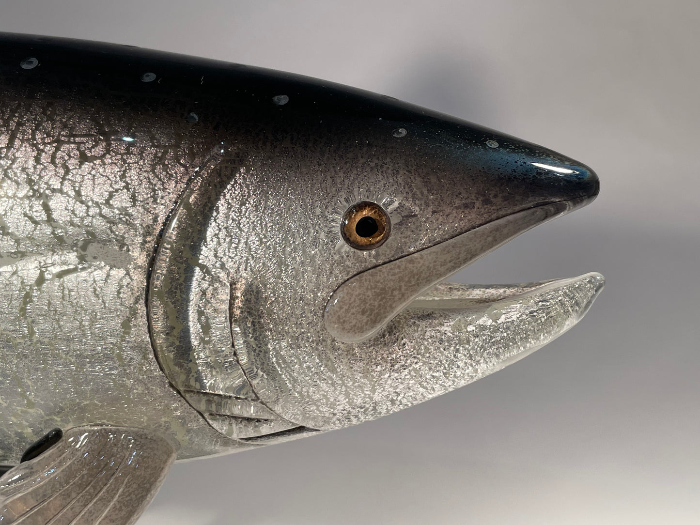 Coho Salmon - #260508-3