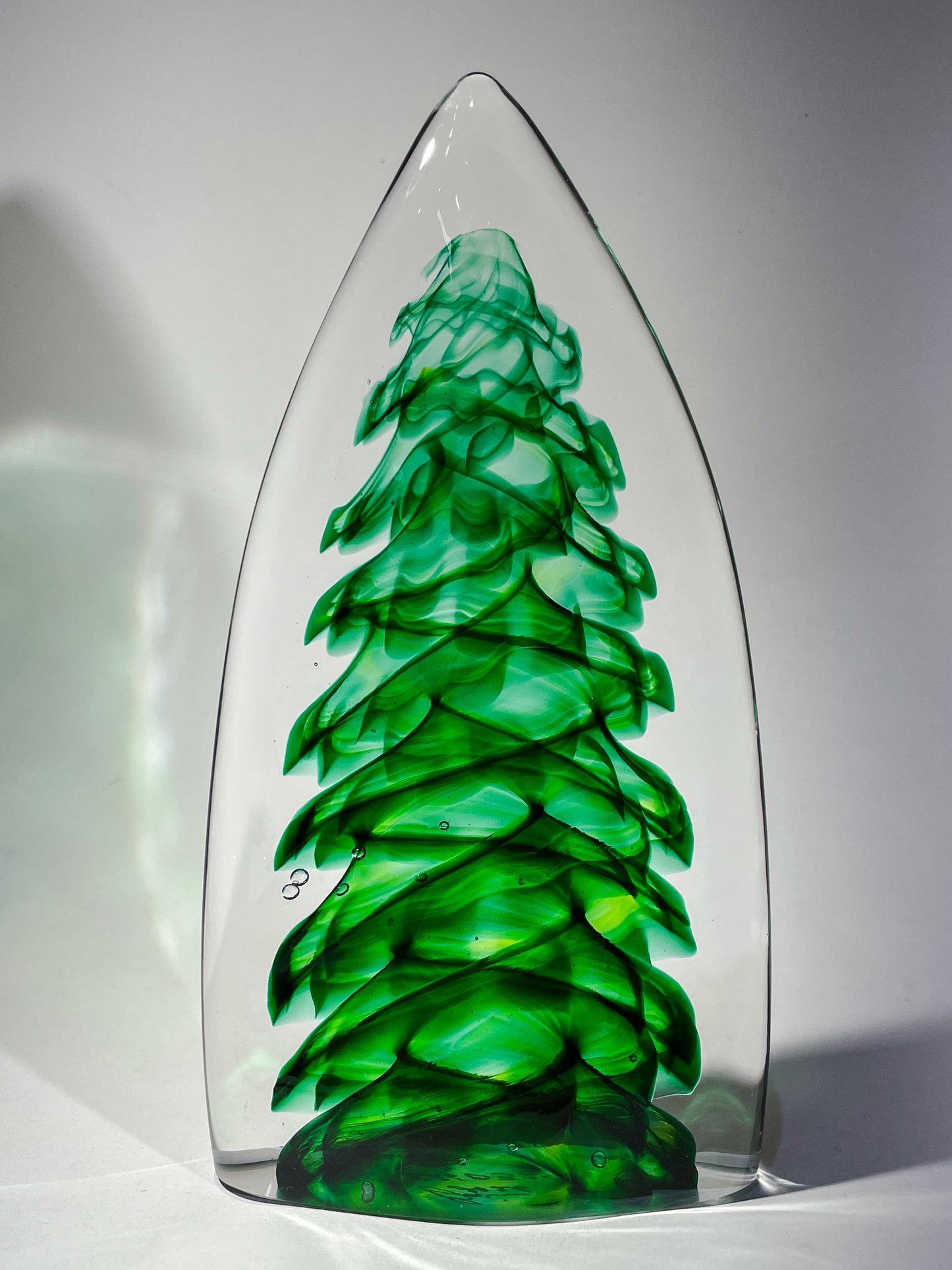 Purcell Evergreen - #260325-2