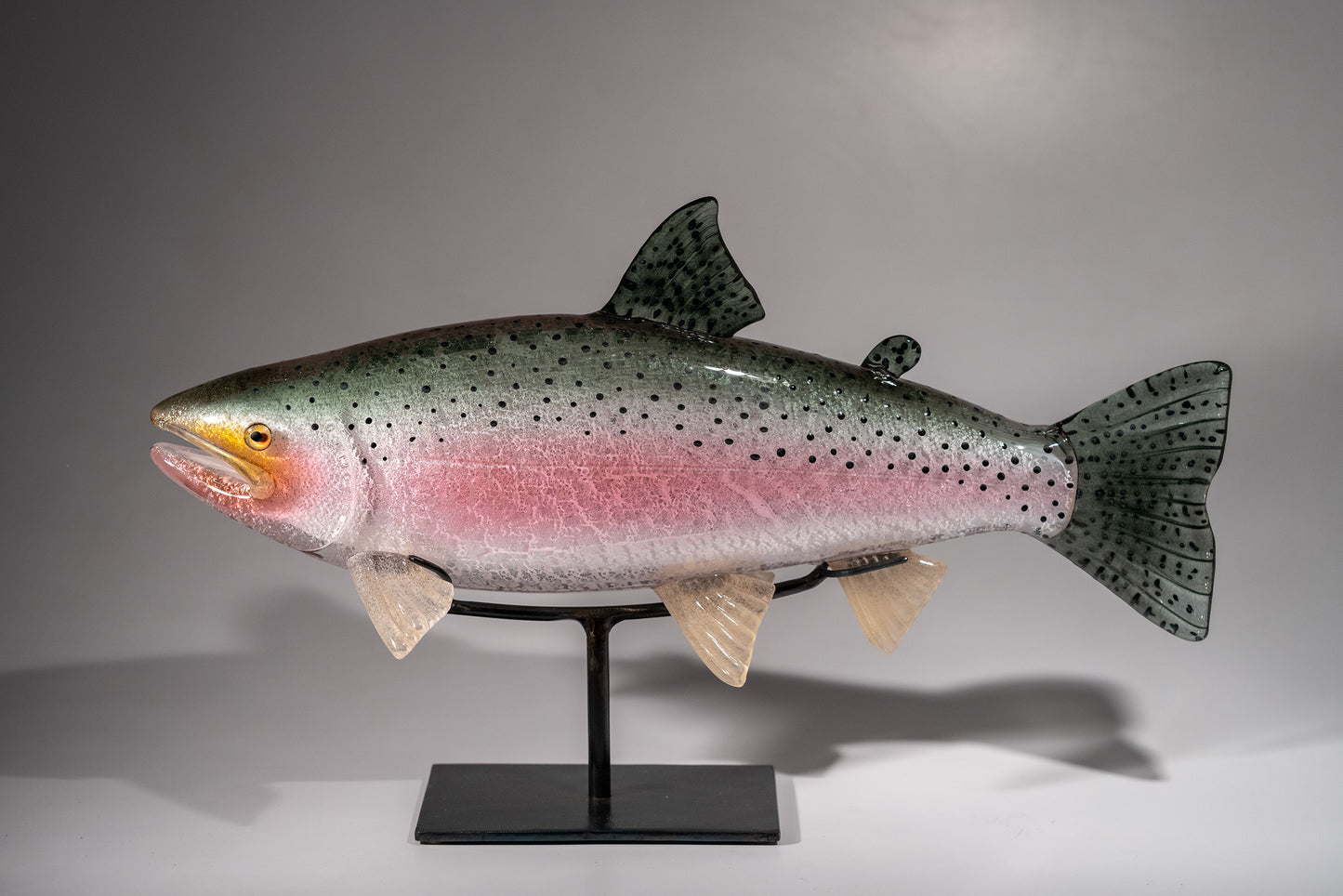 Rainbow Trout - #251112-4