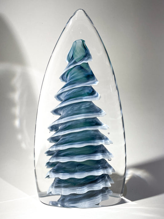 Purcell Evergreen - #260313-2