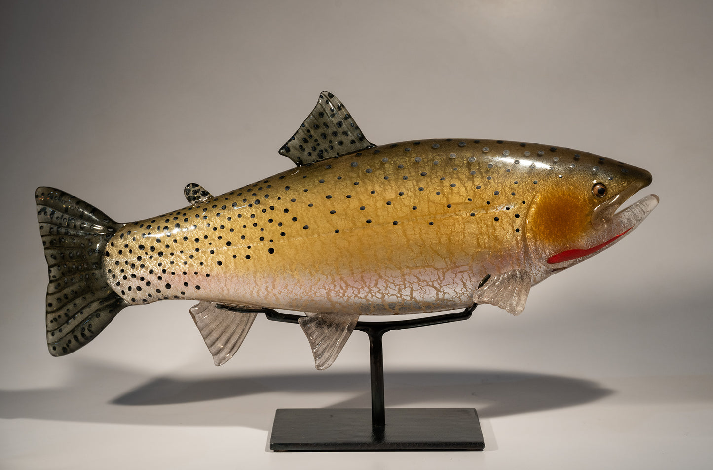 Cutthroat Trout - #251219-1