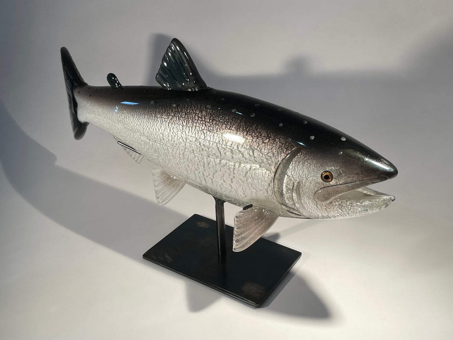 Coho Salmon - #260508-3