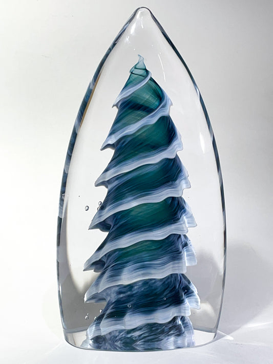 Purcell Evergreen - #251202-2