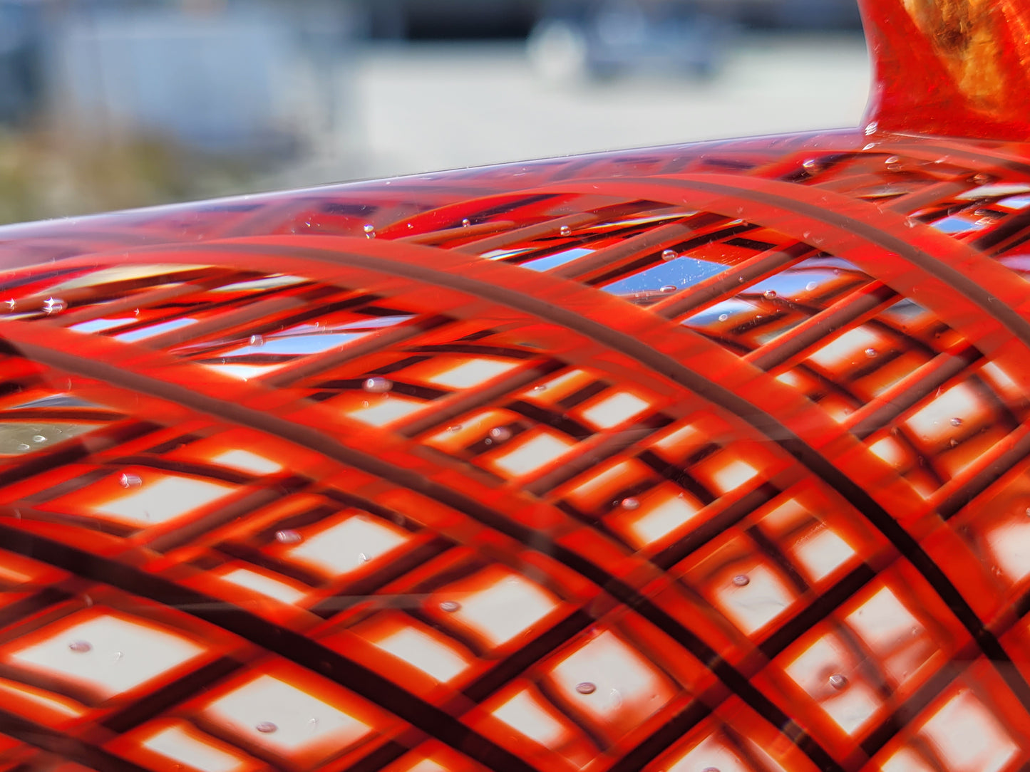 Venetian Salmon - #250918-2