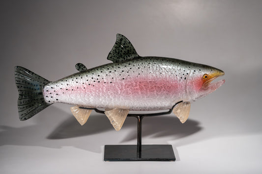 Rainbow Trout - #251112-4