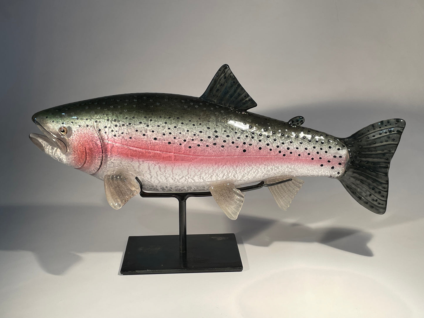 Rainbow Trout - #260508-4