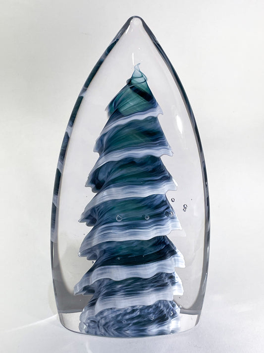 Purcell Evergreen - #251202-2