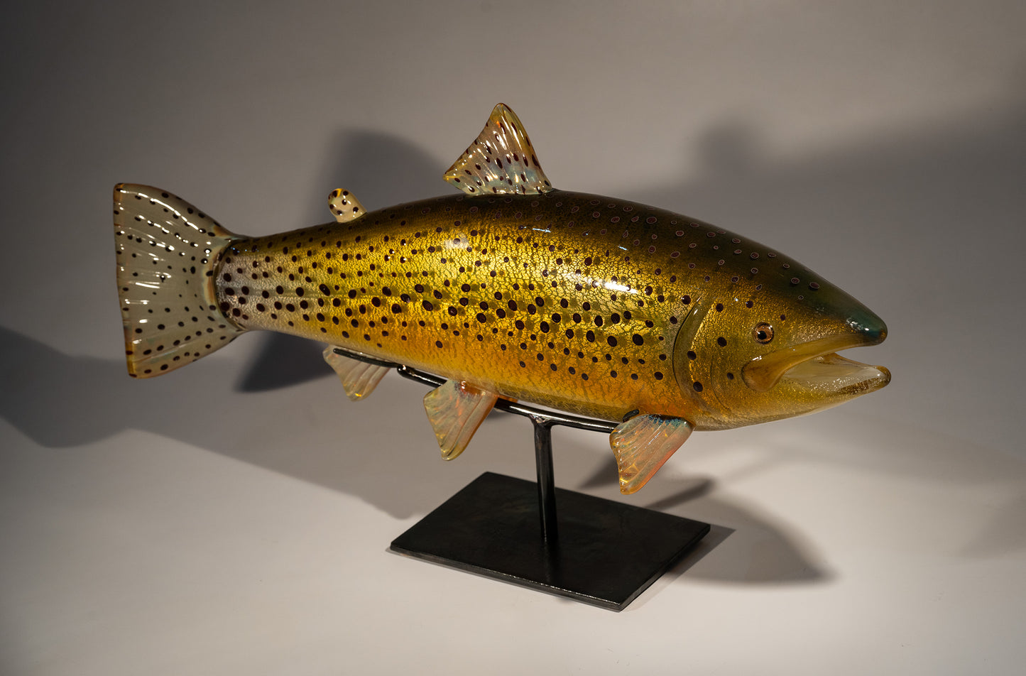 Brown Trout - #251219-2