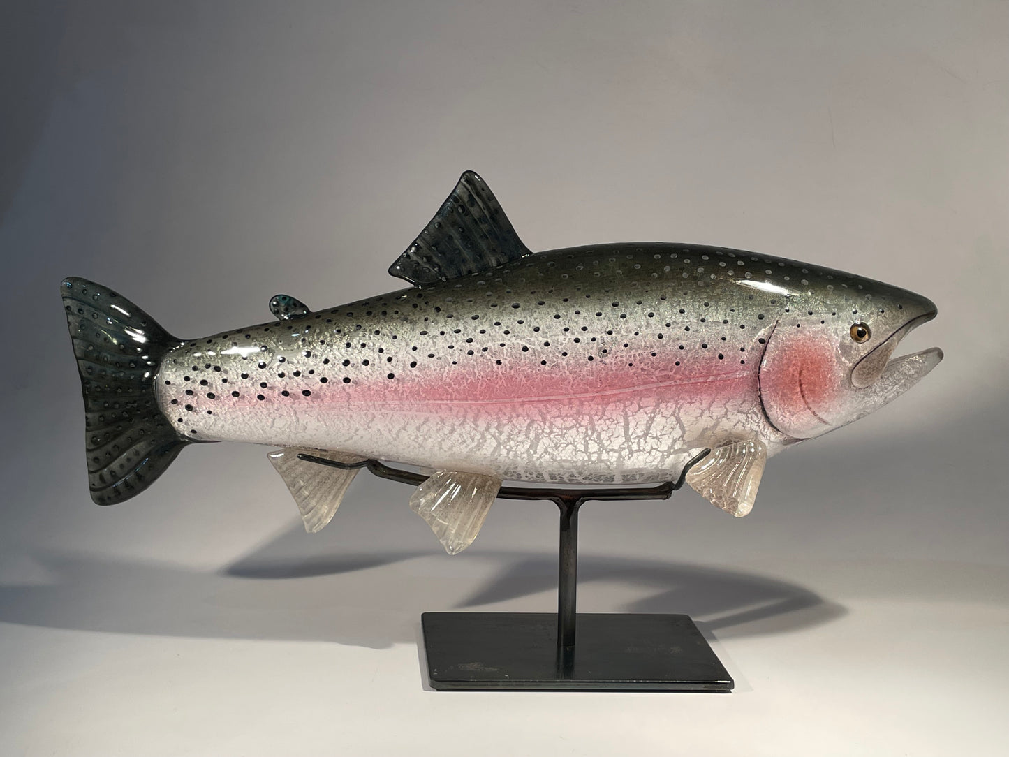 Rainbow Trout - #260508-4