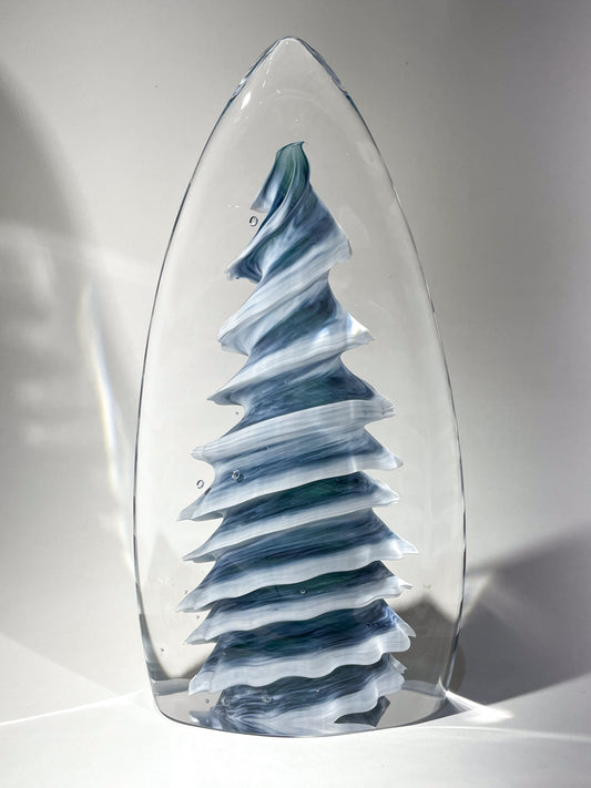 Purcell Evergreen - #260313-1