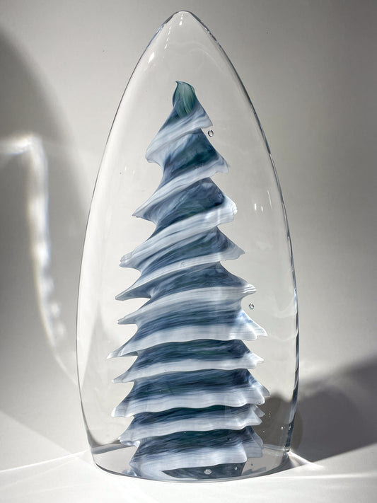 Purcell Evergreen - #260313-1