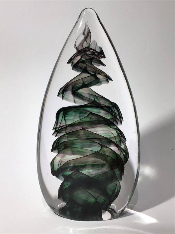 Purcell Evergreen - #221228-1